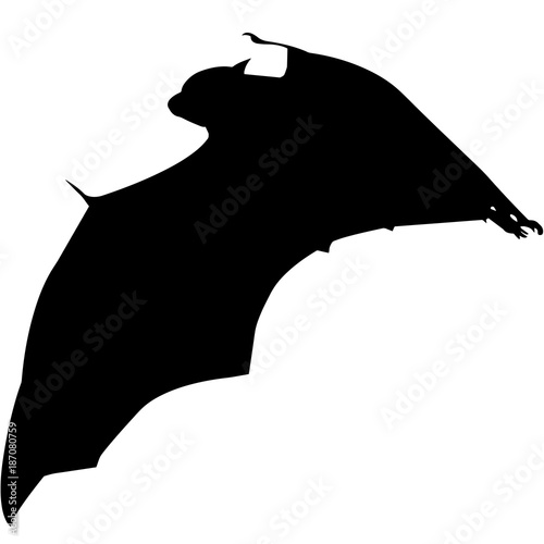 Bat