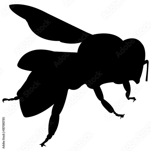 Bee