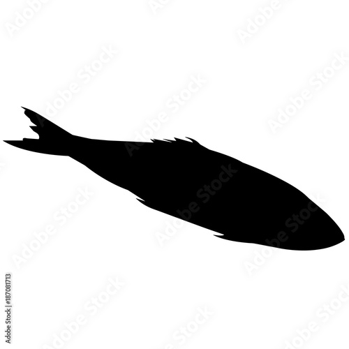 Valokuva Herring