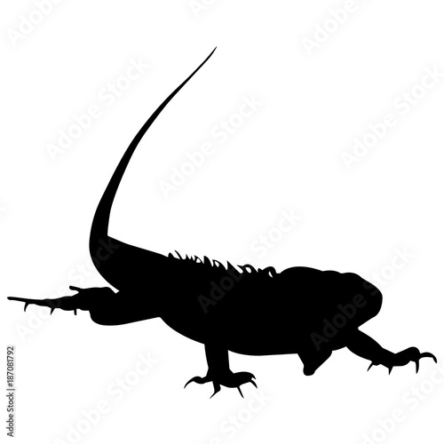 Iguana Silhouette Vector Graphics