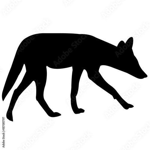 Jackal Silhouette Vector Graphics