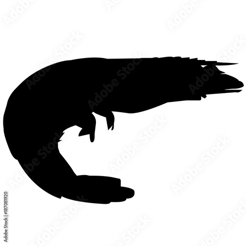 Krill Silhouette Vector Graphics