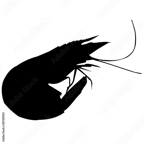 Krill Silhouette Vector Graphics