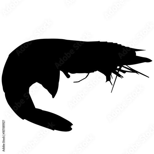 Krill Silhouette Vector Graphics