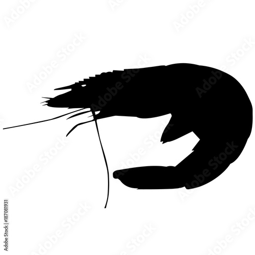 Krill Silhouette Vector Graphics