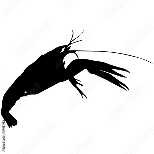 Krill Silhouette Vector Graphics