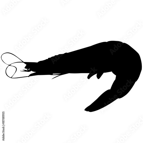 Krill Silhouette Vector Graphics