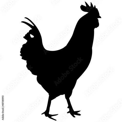 Land Fowl Silhouette Vector Graphics