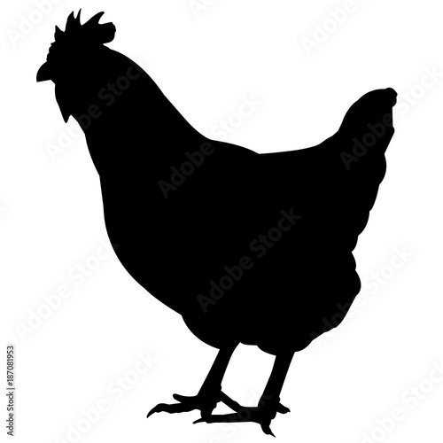Land Fowl Silhouette Vector Graphics