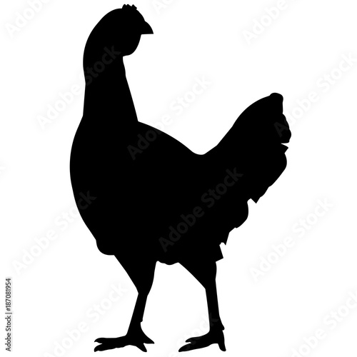 Land Fowl Silhouette Vector Graphics