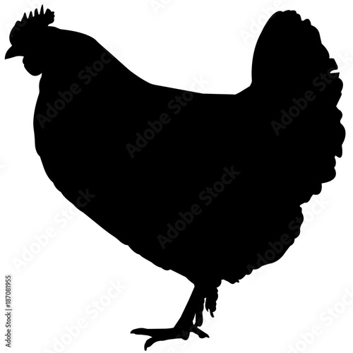 Land Fowl Silhouette Vector Graphics