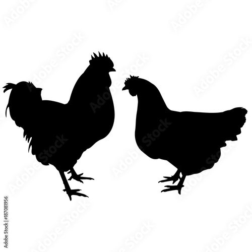 Land Fowl Silhouette Vector Graphics