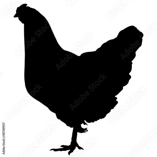 Land Fowl Silhouette Vector Graphics