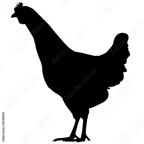 Land Fowl Silhouette Vector Graphics