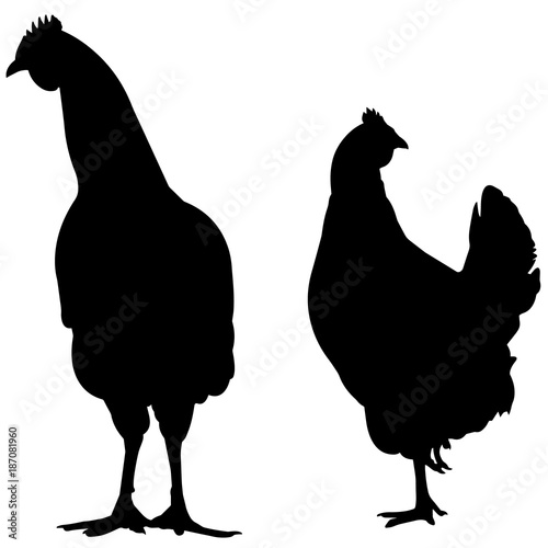 Land Fowl Silhouette Vector Graphics