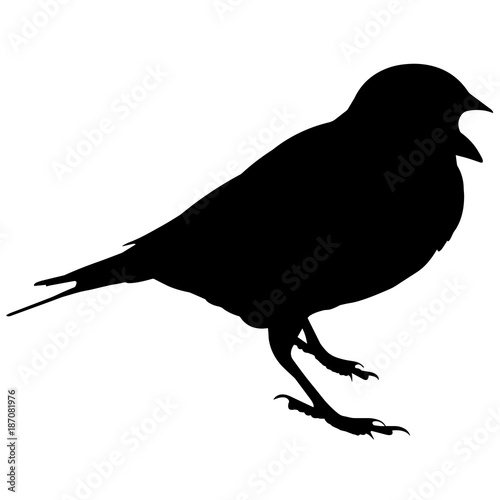 Lark Silhouette Vector Graphics