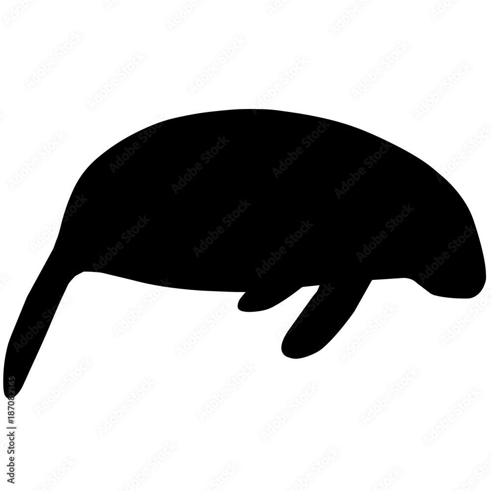 Manatee Silhouette Vector Graphics Stock Vector | Adobe Stock