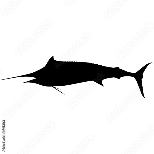 Marlin Silhouette Vector Graphics