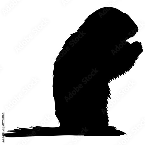 Marmot Silhouette Vector Graphics photo