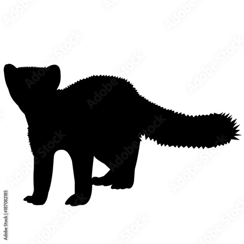 Marten Silhouette Vector Graphics