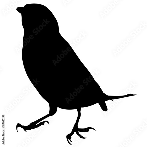 Meadowlark Silhouette Vector Graphics