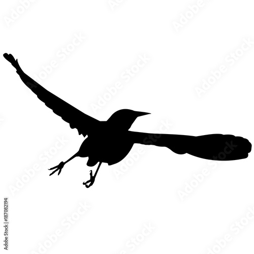 Meadowlark Silhouette Vector Graphics