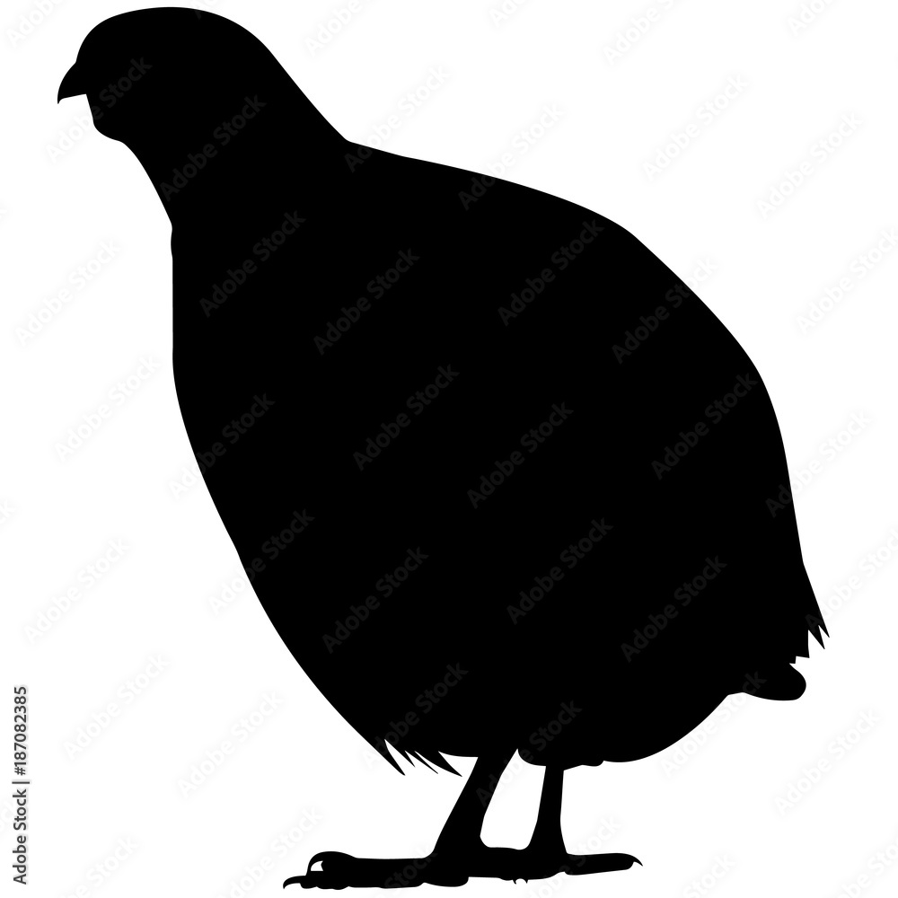 Quail Silhouette Clip Art