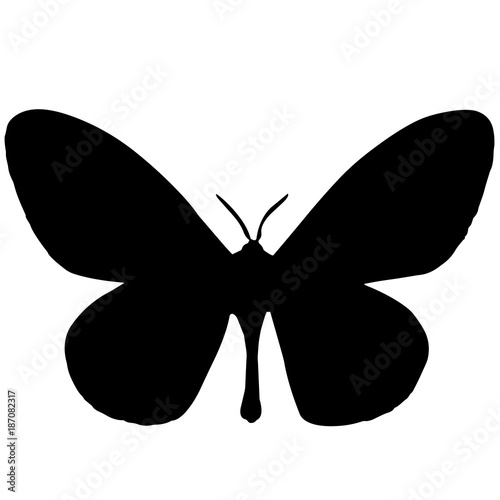 Moth Silhouette Vector Graphics