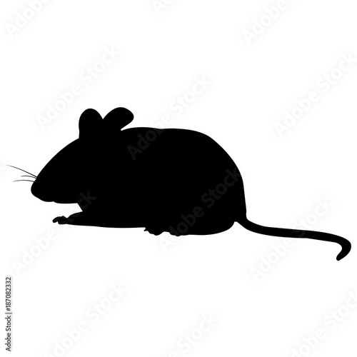 Mouse Silhouette Vector Graphics