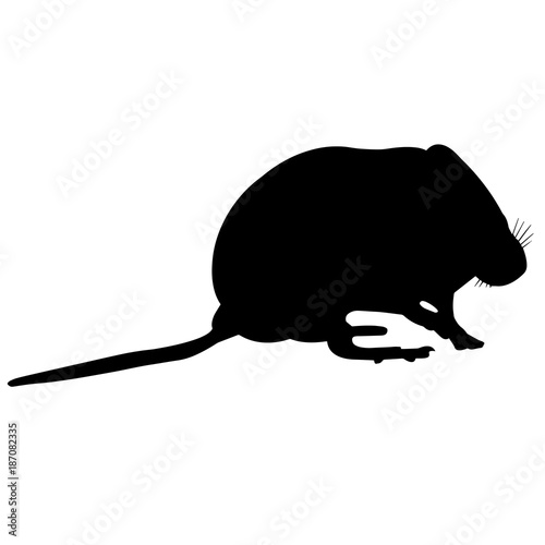 Mouse Silhouette Vector Graphics