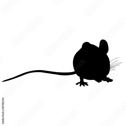 Mouse Silhouette Vector Graphics