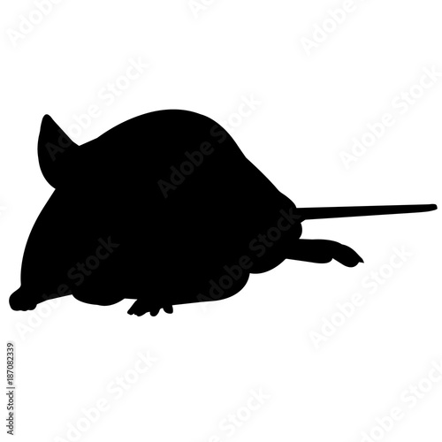 Mouse Silhouette Vector Graphics