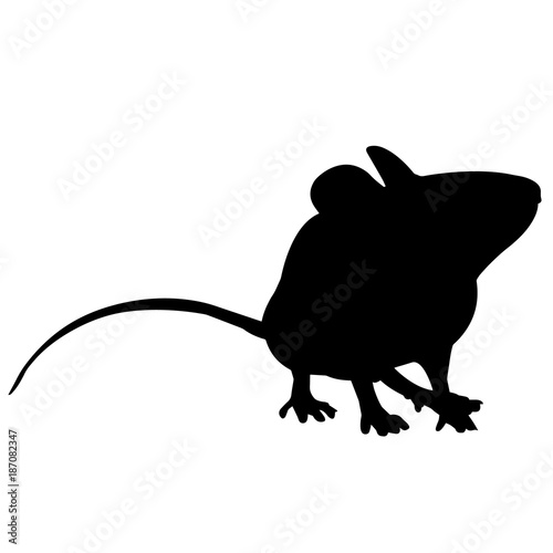 Mouse Silhouette Vector Graphics