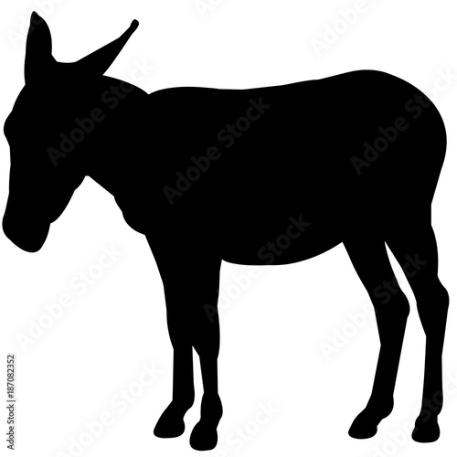 Mule Silhouette Vector Graphics