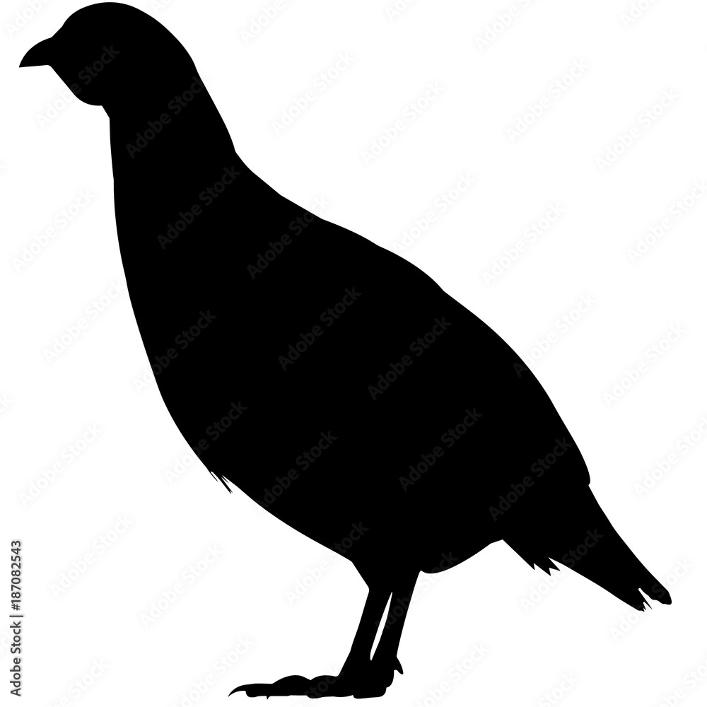 Partridge Silhouette Vector Graphics Stock Vector | Adobe Stock