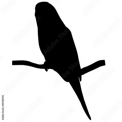 Parakeet Silhouette Vector Graphics