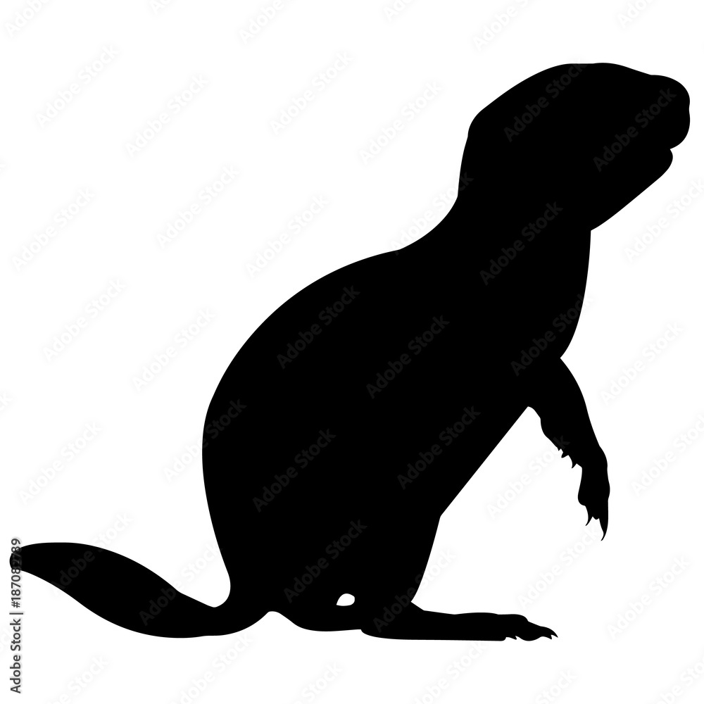 Prairie dog Silhouette Vector Graphics Stock Vector | Adobe Stock