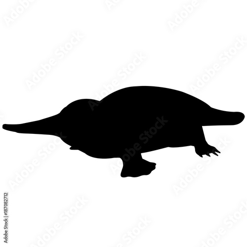 Platypus Silhouette Vector Graphics