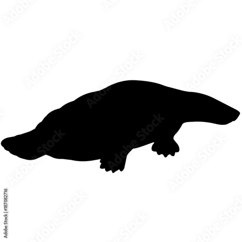 Platypus Silhouette Vector Graphics
