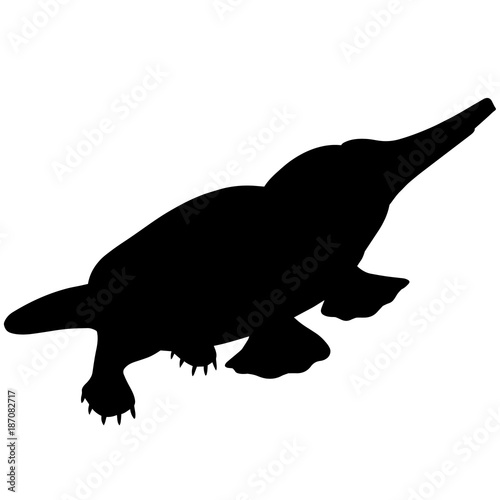 Platypus Silhouette Vector Graphics
