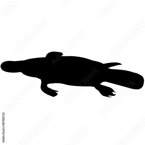 Platypus Silhouette Vector Graphics