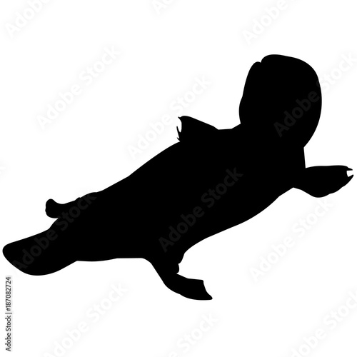 Platypus Silhouette Vector Graphics