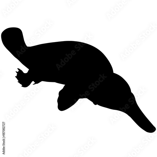 Platypus Silhouette Vector Graphics