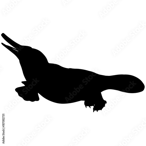 Platypus Silhouette Vector Graphics