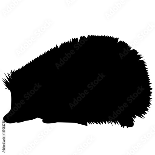 Porcupine Silhouette Vector Graphics