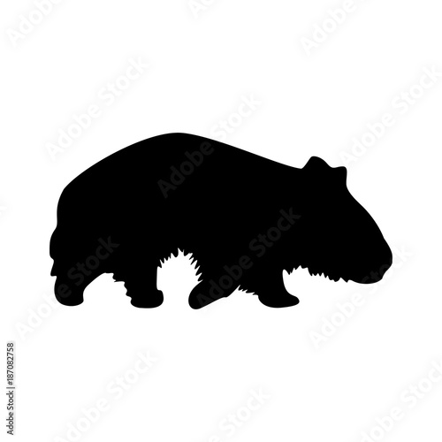 wombat silhouette