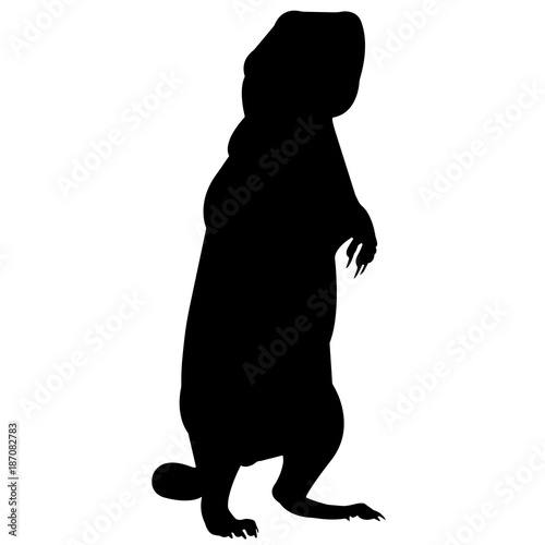 Prairie dog Silhouette Vector Graphics photo