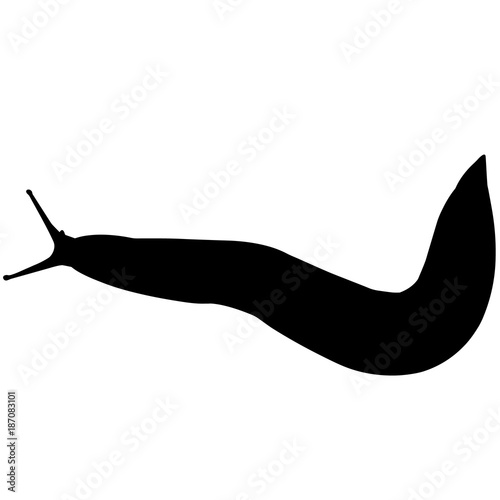 Sea slug Silhouette Vector Graphics