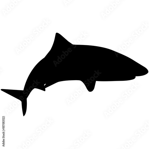 Shark Silhouette Vector Graphics