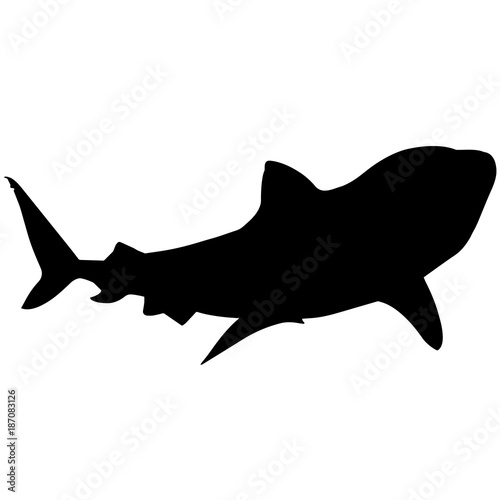 Shark Silhouette Vector Graphics